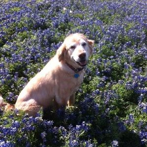 Meet your Posher, Pamela